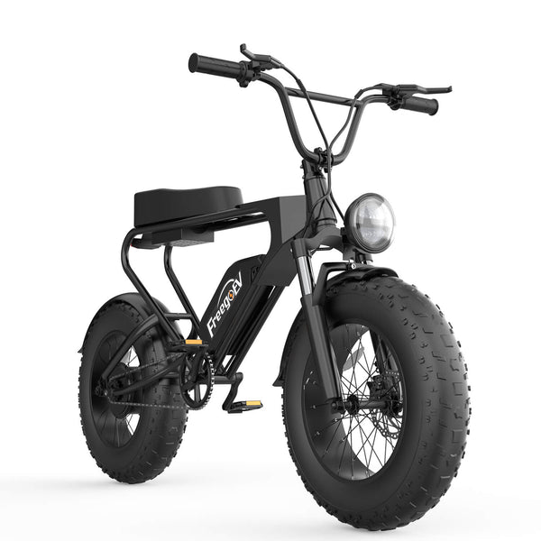 Kugoo 20” Smart City Commute Electric Bike with 4-inch Wide Air-filled Fat Tire(Model DK200)